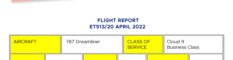 GTT Global - The Largest Air Ticketing Consolidator in the U.S.