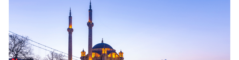 GTT Global - The Largest Air Ticketing Consolidator in the U.S.