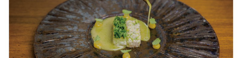 GTT Global - The Largest Air Ticketing Consolidator in the U.S.