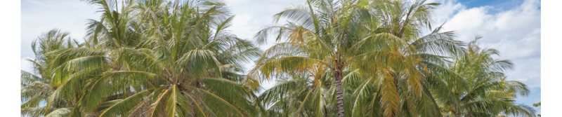 GTT Global - The Largest Air Ticketing Consolidator in the U.S.