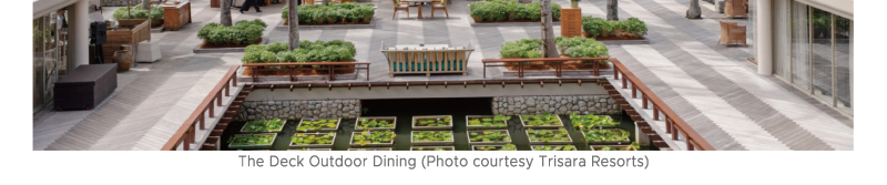 GTT Global - The Largest Air Ticketing Consolidator in the U.S.