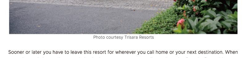 GTT Global - The Largest Air Ticketing Consolidator in the U.S.