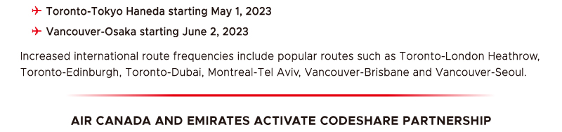 GTT Global - The Largest Air Ticketing Consolidator in the U.S.