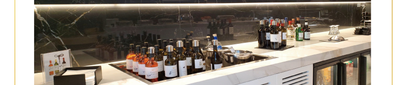 GTT Global - The Largest Air Ticketing Consolidator in the U.S.