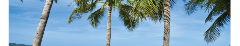 GTT Global - The Largest Air Ticketing Consolidator in the U.S.